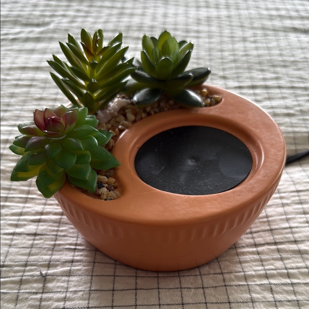 Succulent Planter with Warmer Plate